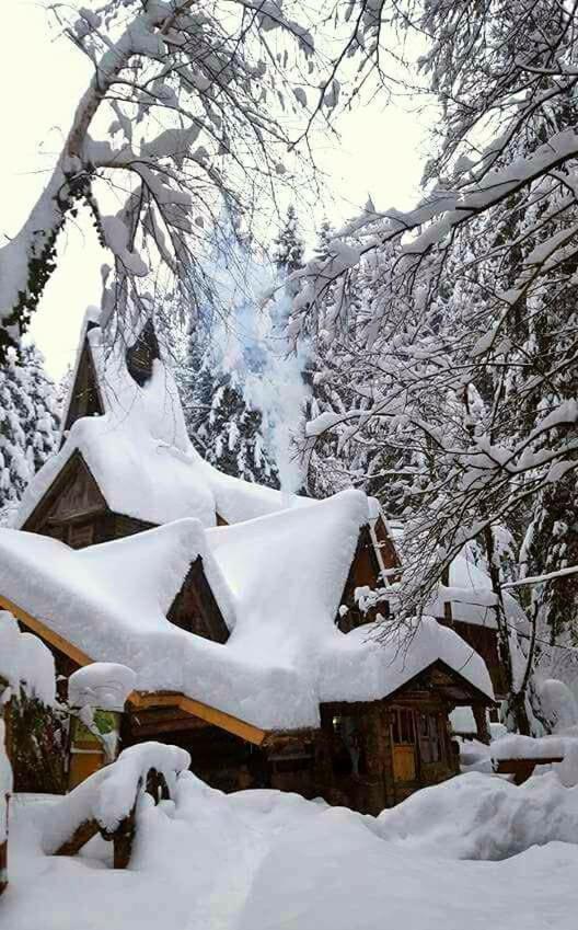 Holiday Park Zelenkovac Podrasnica Exterior photo