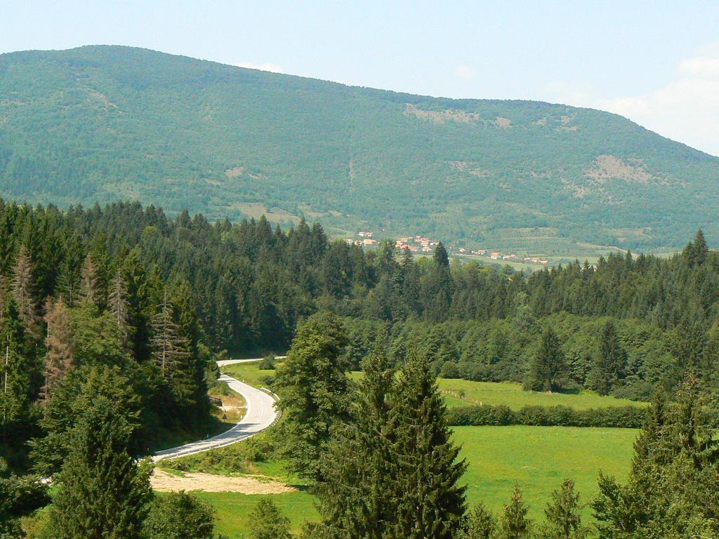 Holiday Park Zelenkovac Podrasnica Exterior photo