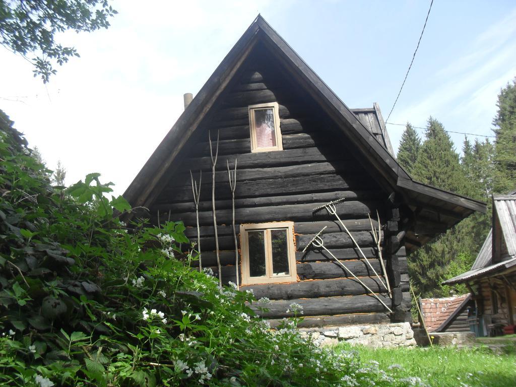 Holiday Park Zelenkovac Podrasnica Exterior photo